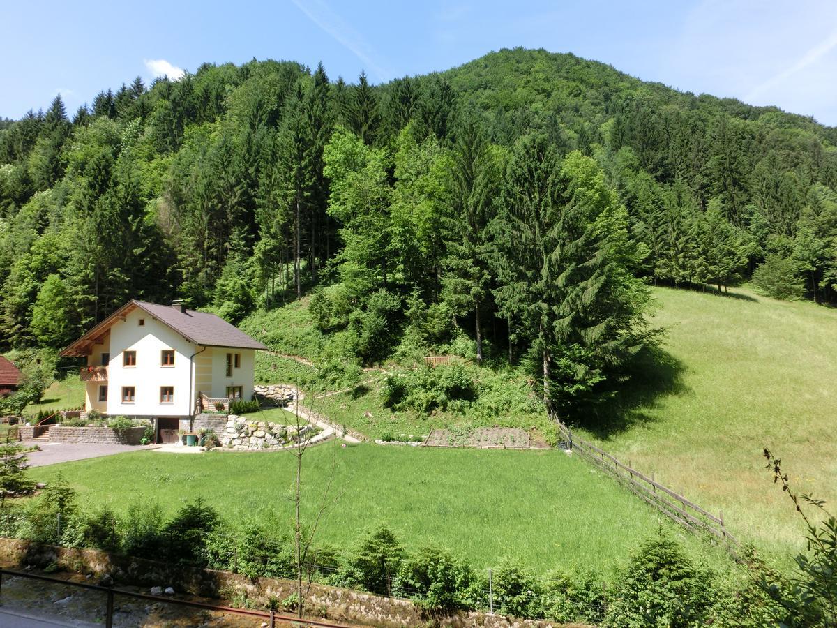 Gaestehaus Forstner Loich Exterior photo