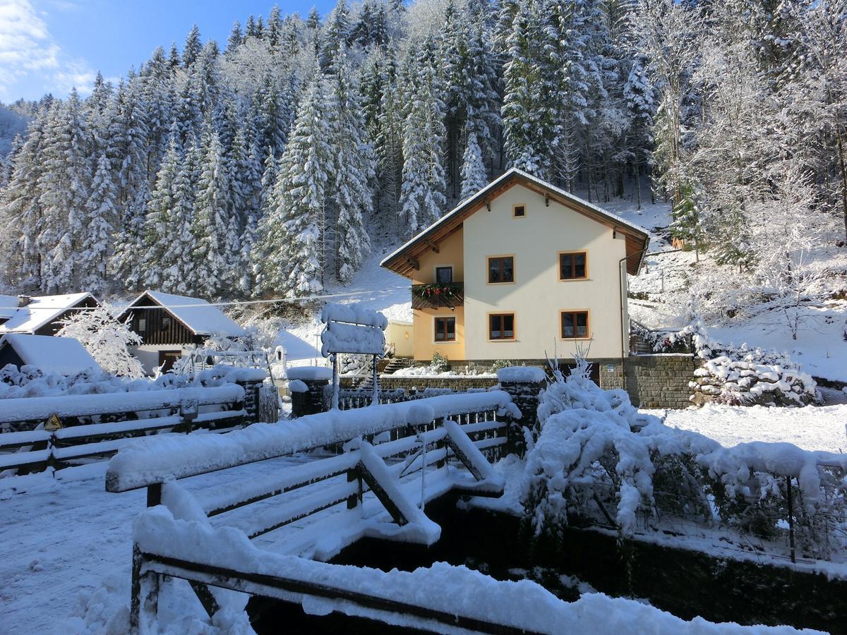 Gaestehaus Forstner Loich Exterior photo